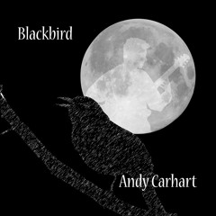 Blackbird (The Beatles)