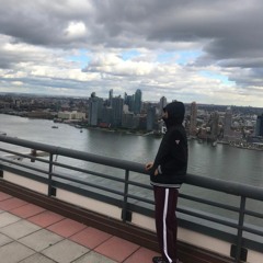 CNGtreexHairline-Back pains