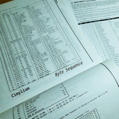 Byte Sequence