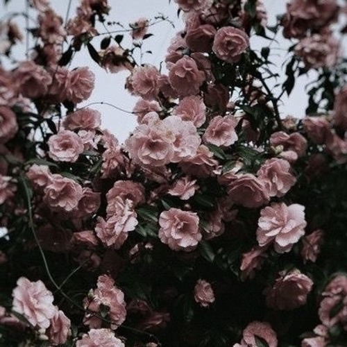 Wunsche-Sunday Vibes X Lil Peep -Love Letter [Super Sunday Vibes Double] REMASTERED