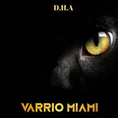 Varrio Miami - Illusions
