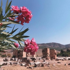 Вандер Фил - Нравишься