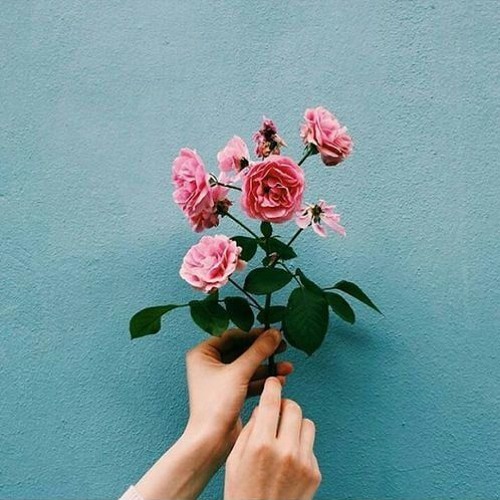 without me - halsey (cover)