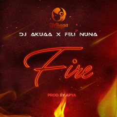 Fire (feat. Feli Nuna) (Prod by. Apya)