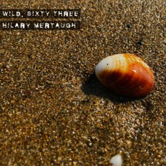 Wild.Sixty Three |063| Hilary Mertaugh