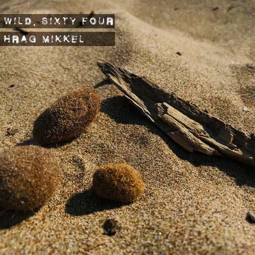 Wild.Sixty Four |064| Hrag Mikkel