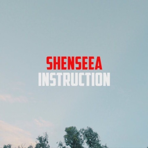 Shenseea - Instruction