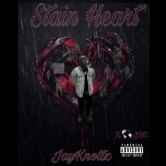 Jay Knottz Stain Heart