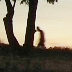 Skull [prod. atmfetty]