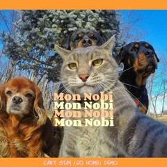 can’t stay (go home) demo