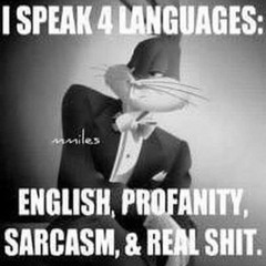 i speak 4 languages