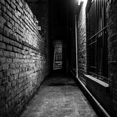 B. Haz- Flip Chall #91