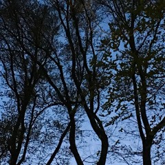 Blue Imaginaries