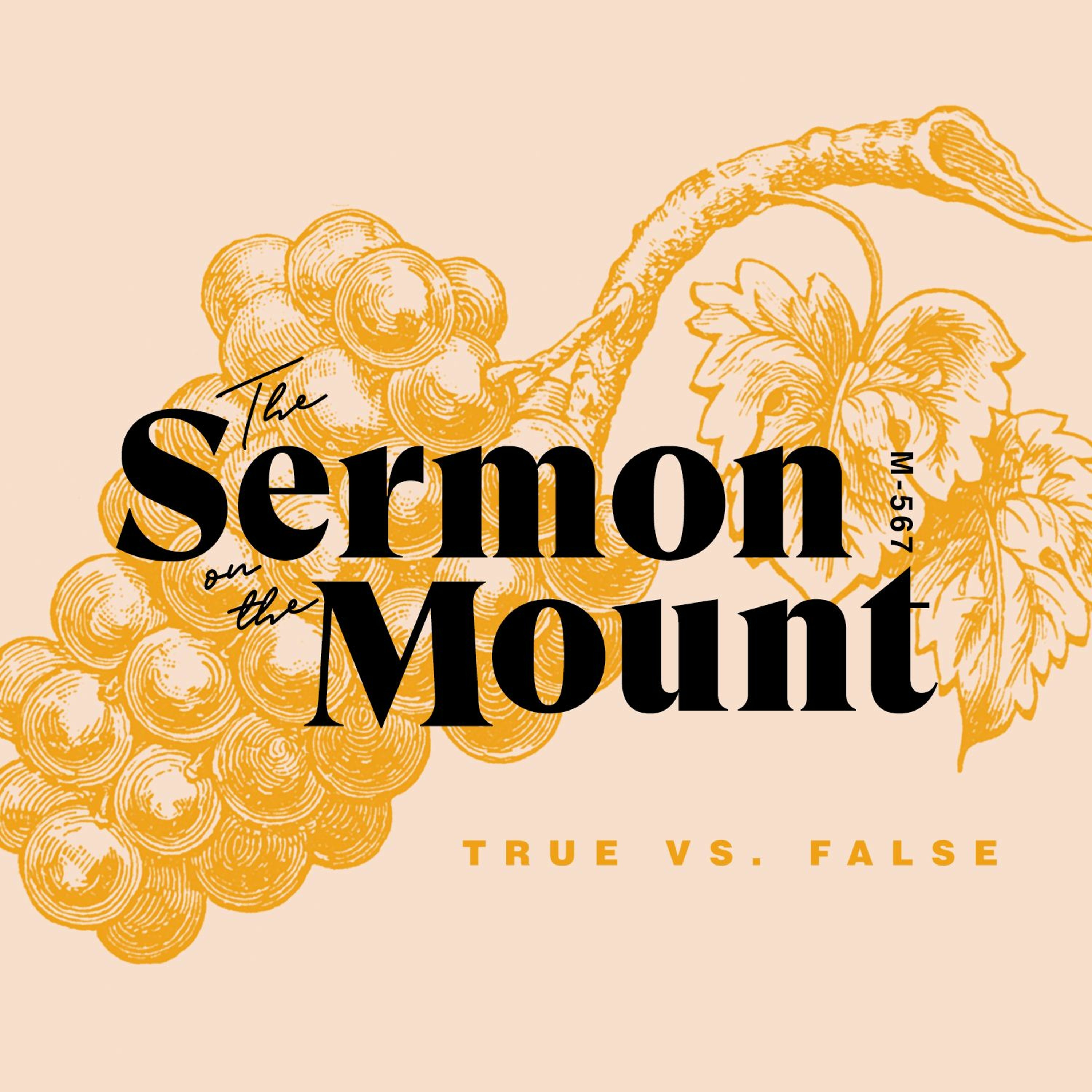 The Sermon On The Mount: True Vs. False episode artwork