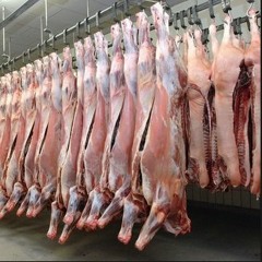 Murder is Meat [pls review on Triple J Unearthed - link in bio]