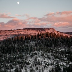 Stay Alive ✟ Prod.(Poloboy81)