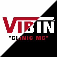 V I B I N