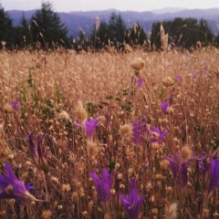 Tiger Mountain Peasant Song (ft. My Sister!)