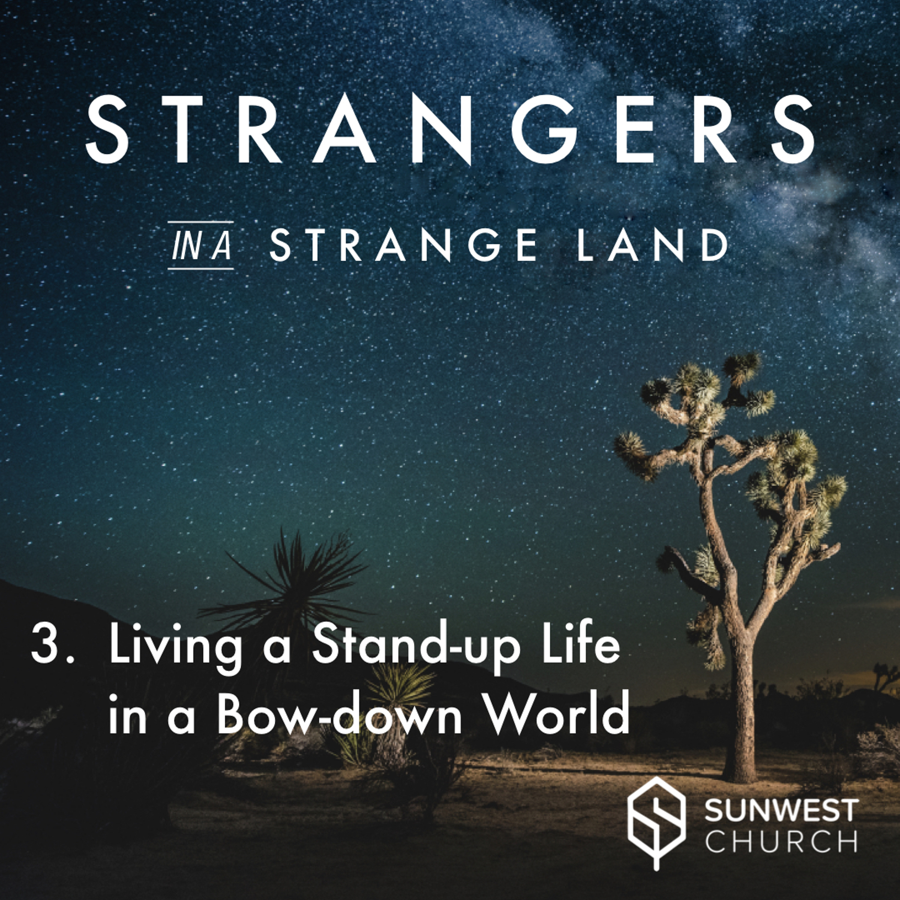 2018-11-18 Strangers in a Strange Land—Part 3: Living a Stand-up Life in a Bow-down World, Matt Dyck episode artwork