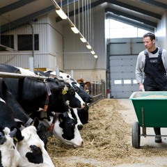 Det sker ikke kun for naboen | Sponsoreret af Gjensidige