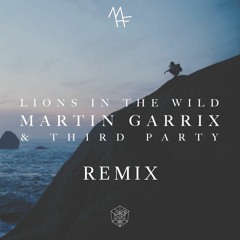Martin Garrix - Lions In The Wild (MountainHF Remix)