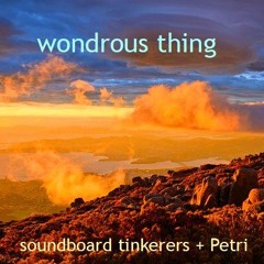 wondrous thing [soundboard tinkerers and Petri]
