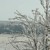 Artwork for 1 Verre Et Branches
