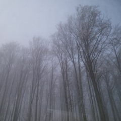 Isht Vahn - Sonnet 18