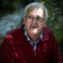 John Joe: Irish Lilting