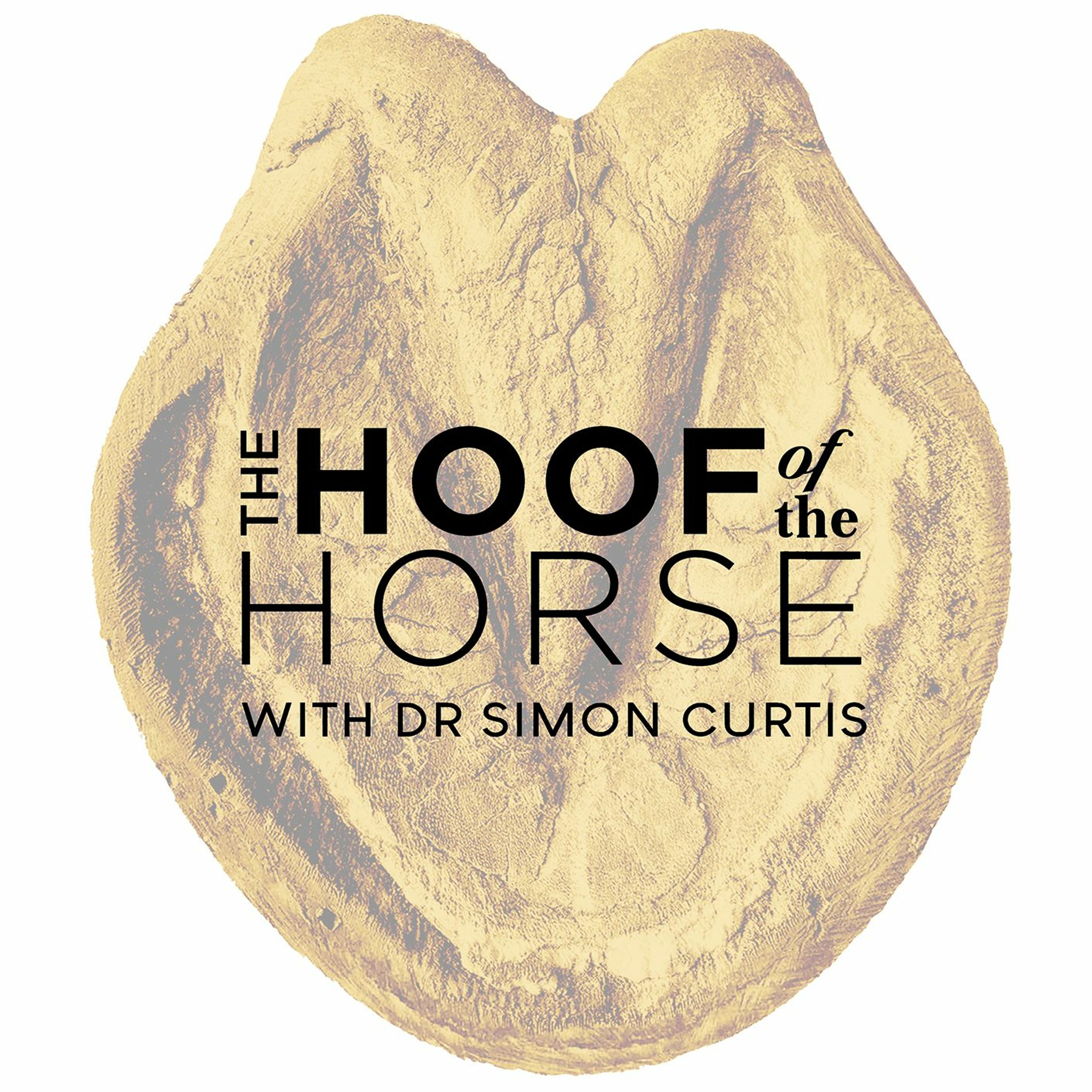 2 - A Deeper Understanding of the Horse’s Hoof