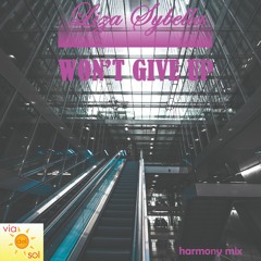 Wont Give Up (Harmony Mix)