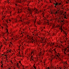 A Million Red Red Roses Red