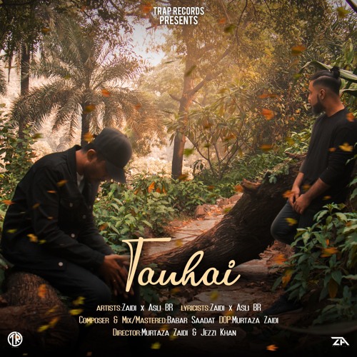 Zaidi x Asli BR - TANHAI (Official Audio)| Babar Saadat | Urdu Rap | 2018