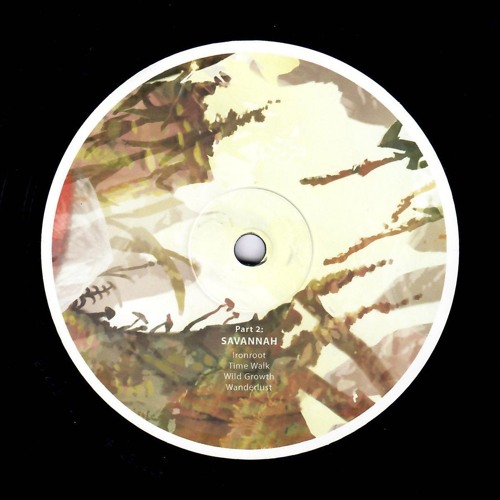 PREMIERE: Birds Ov Paradise - Wild Growth [Hypnus records]