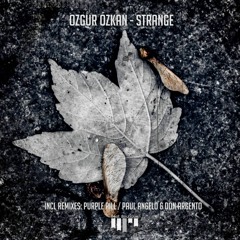 Ozgur Ozkan - Strange (Paul Angelo & Don Argento Remix) [Beat Boutique Records]