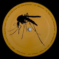 Acid Division & Hypnoise Theory - Eye Of The Storm [2016]