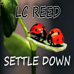 LC REED - Settle Down