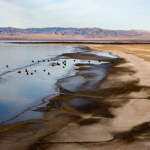 Speaking Of Water - Featuring Dr. Peter Gleick