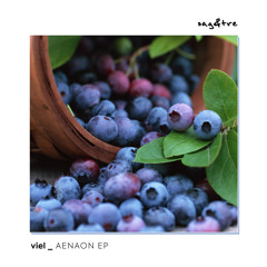 VieL - Ethereal Aura (Original Mix) [Sag & Tre]