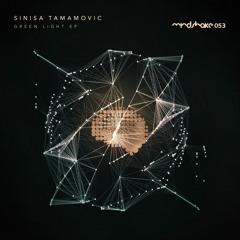 Sinisa Tamamovic - Check It Out - Mindshake Records