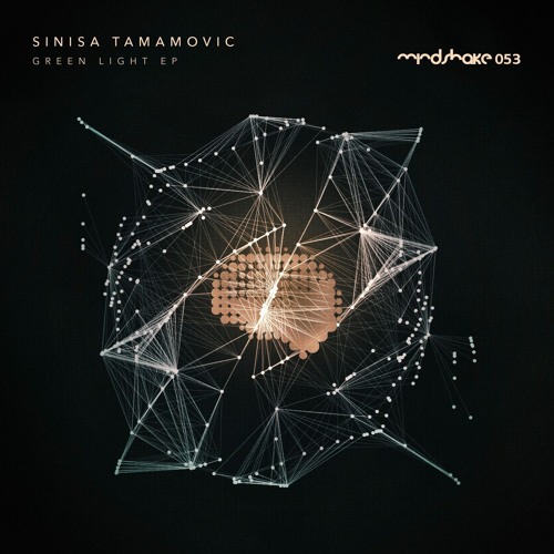 Sinisa Tamamovic - Check It Out - Mindshake Records
