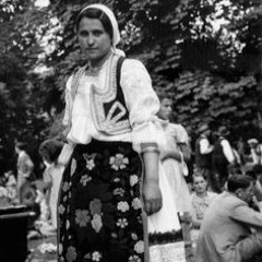 Danica Krstić - Udade Se Jagodo   Beograd Prestonica Kulture, Umetnosti 2
