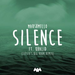 Silence (Tiesto's Big Room Extended Remix)