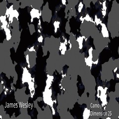 Camo (Original Mix) Sample