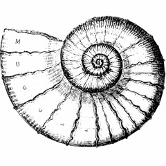 Citius, Altius, Fortius