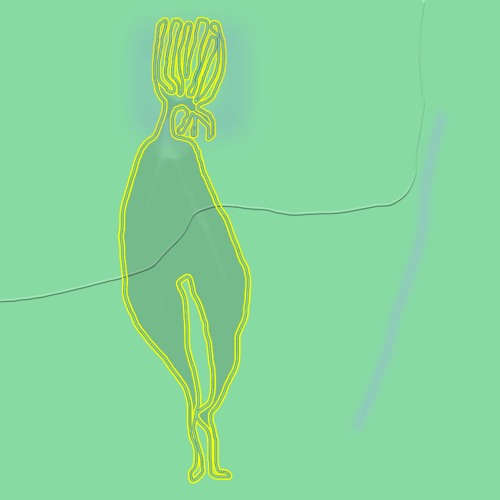 ankou - pale complexion