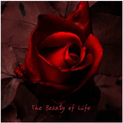 The Beauty of Life