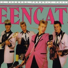 Teencats - My Heart Is Crying For You