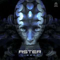 Aster Libera