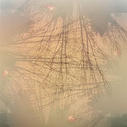 Thru Dreams towards the Morning